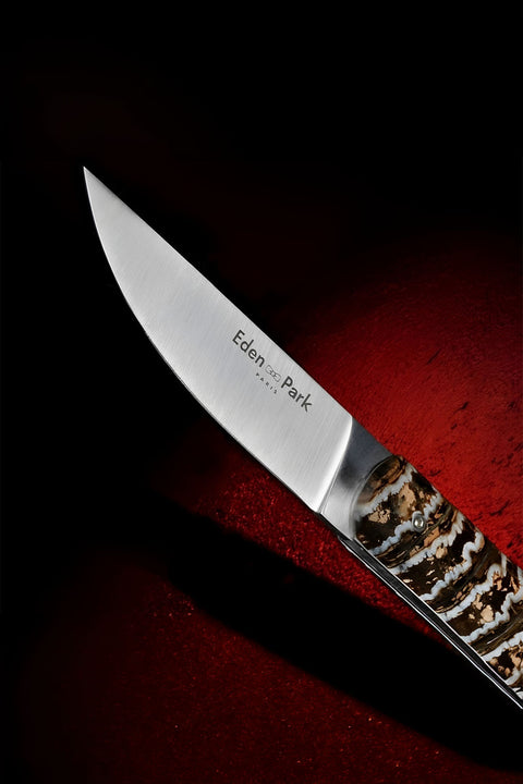 Pocket knife with beige Mammoth Molar handle - Image 1