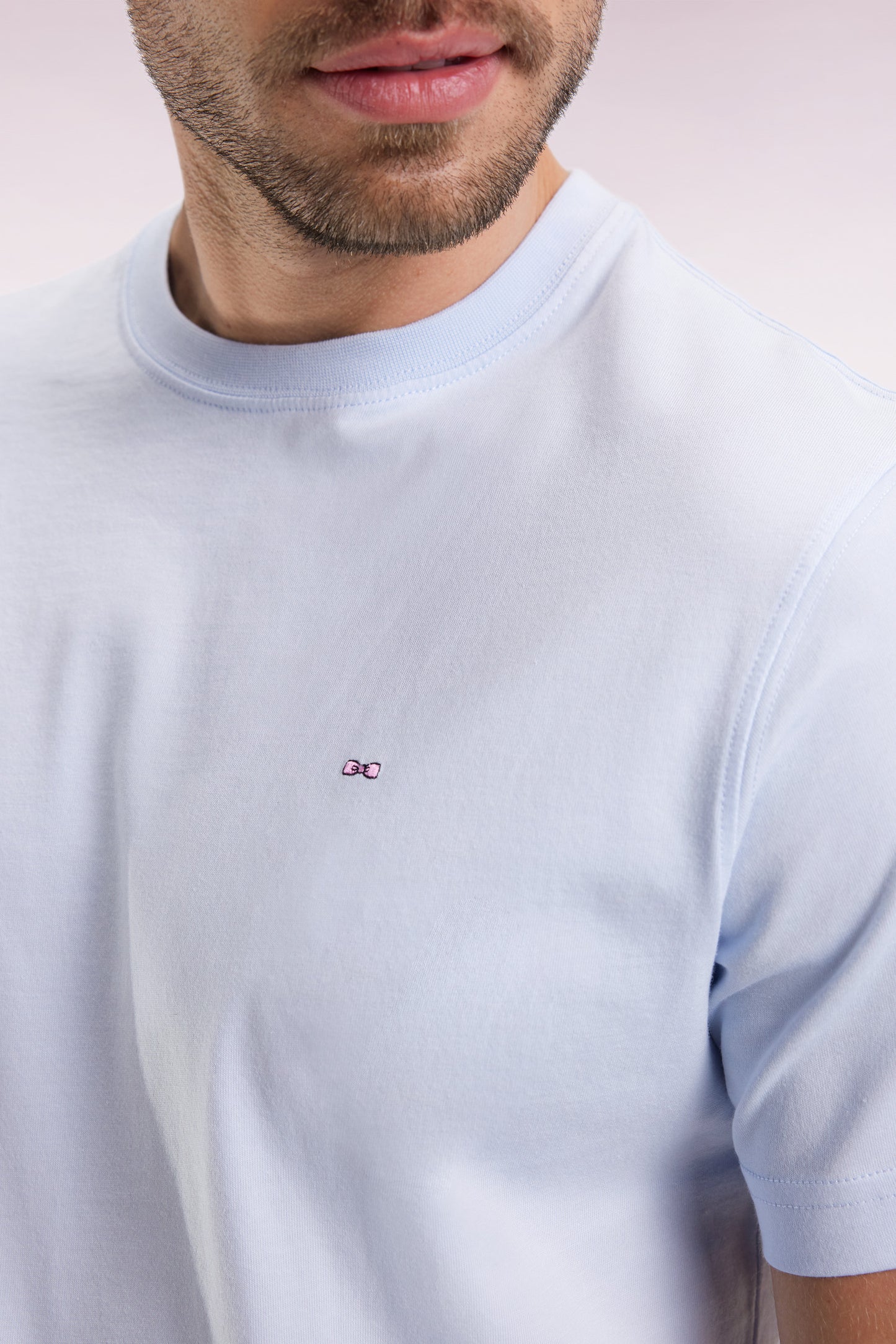 Short-sleeved T-shirt with embroidered back in sky Pima cotton