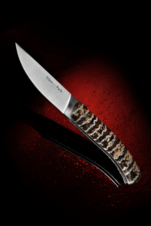 Pocket knife with beige Mammoth Molar handle - Image 2