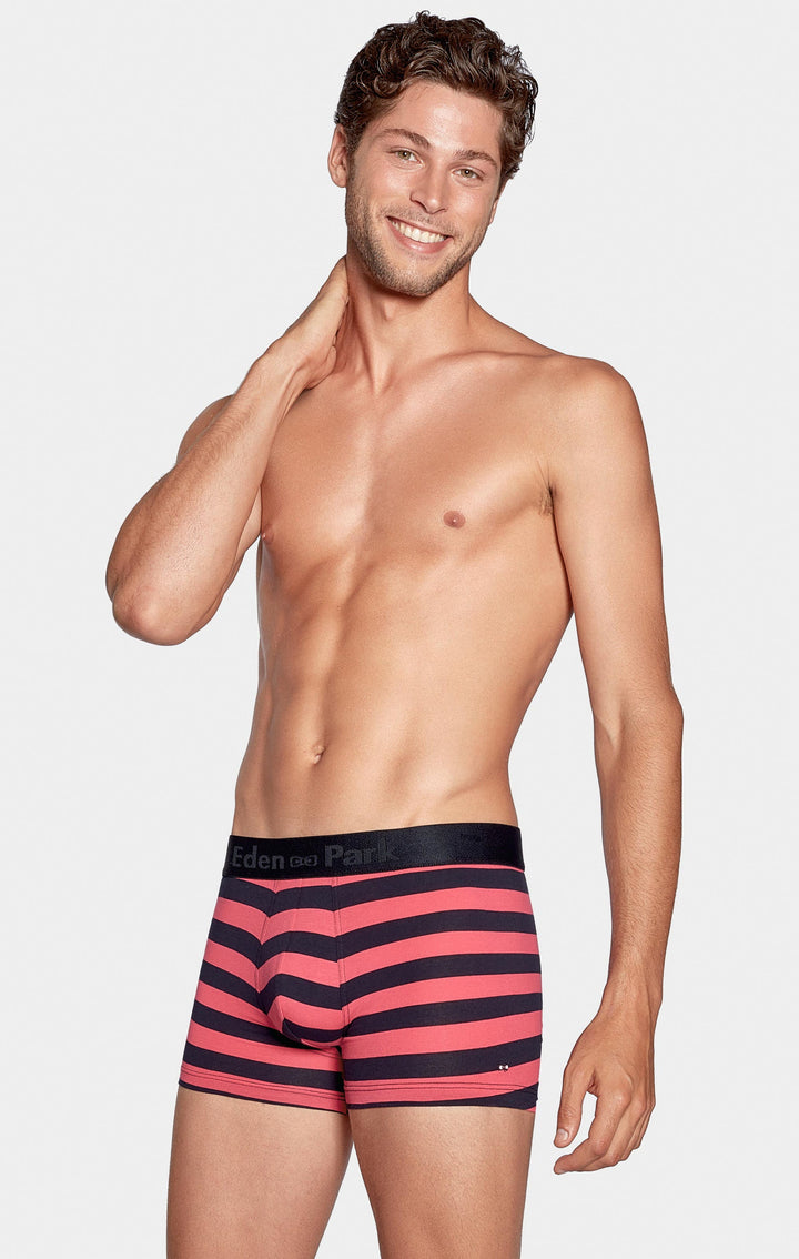 Striped cotton knickers with elasticated waistband navy/pink striped Eden  Park