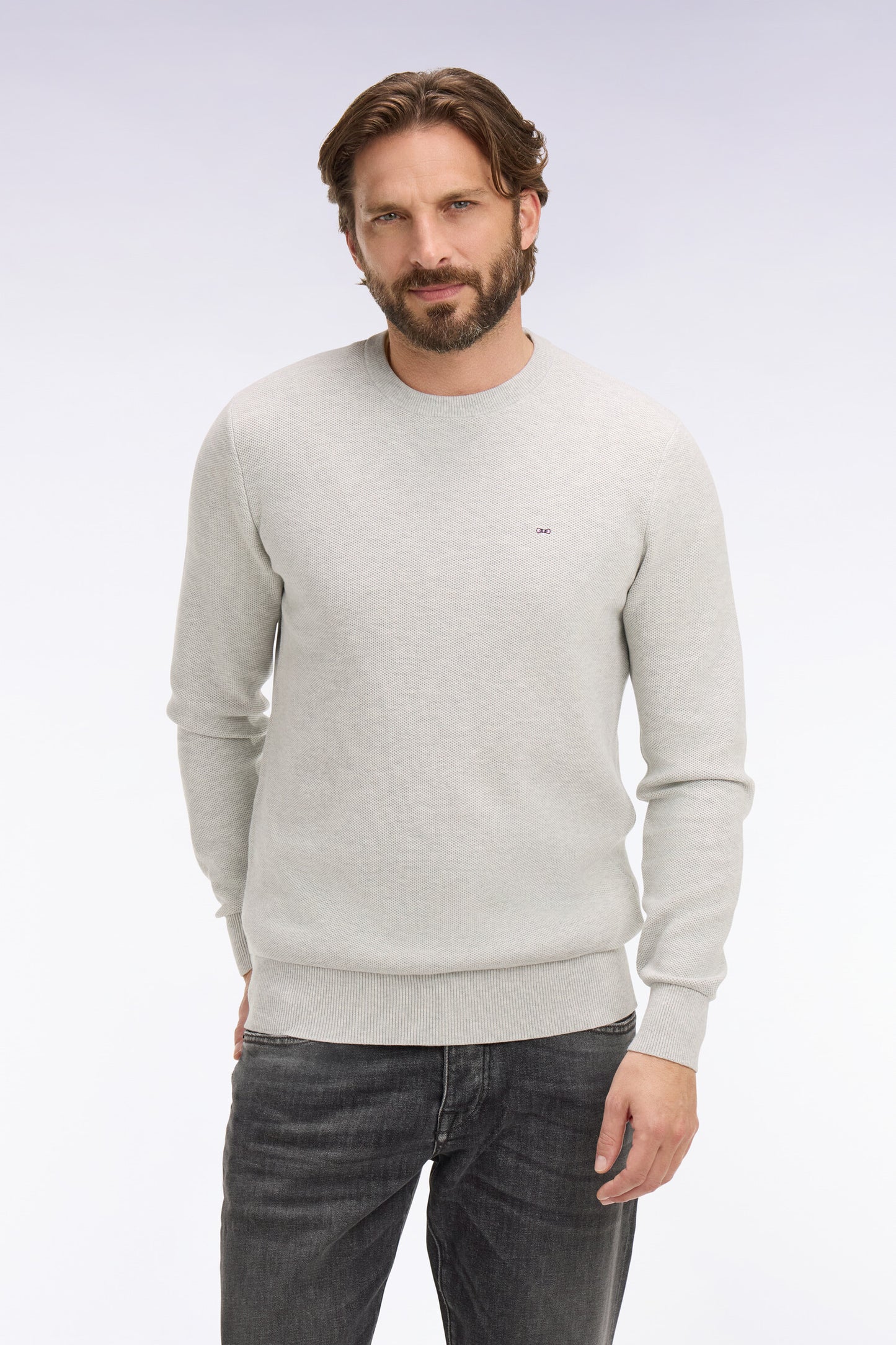 Pull col rond en coton gris clair
